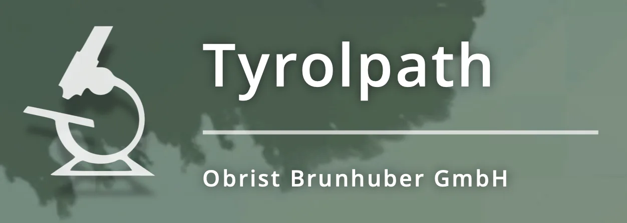 1715009191636
