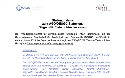 Stellungnahme zum AGO/OEGGG Statement: Diagnostik Endometriumkarzinom